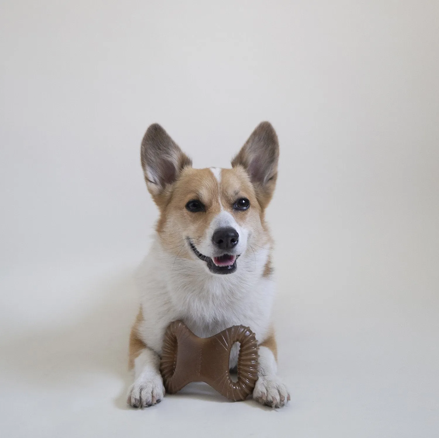 Benebone Flavored Dental Tough Dog Chew Toy