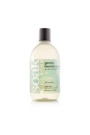 Soak Full Size Bottle 12oz - Wild Mint