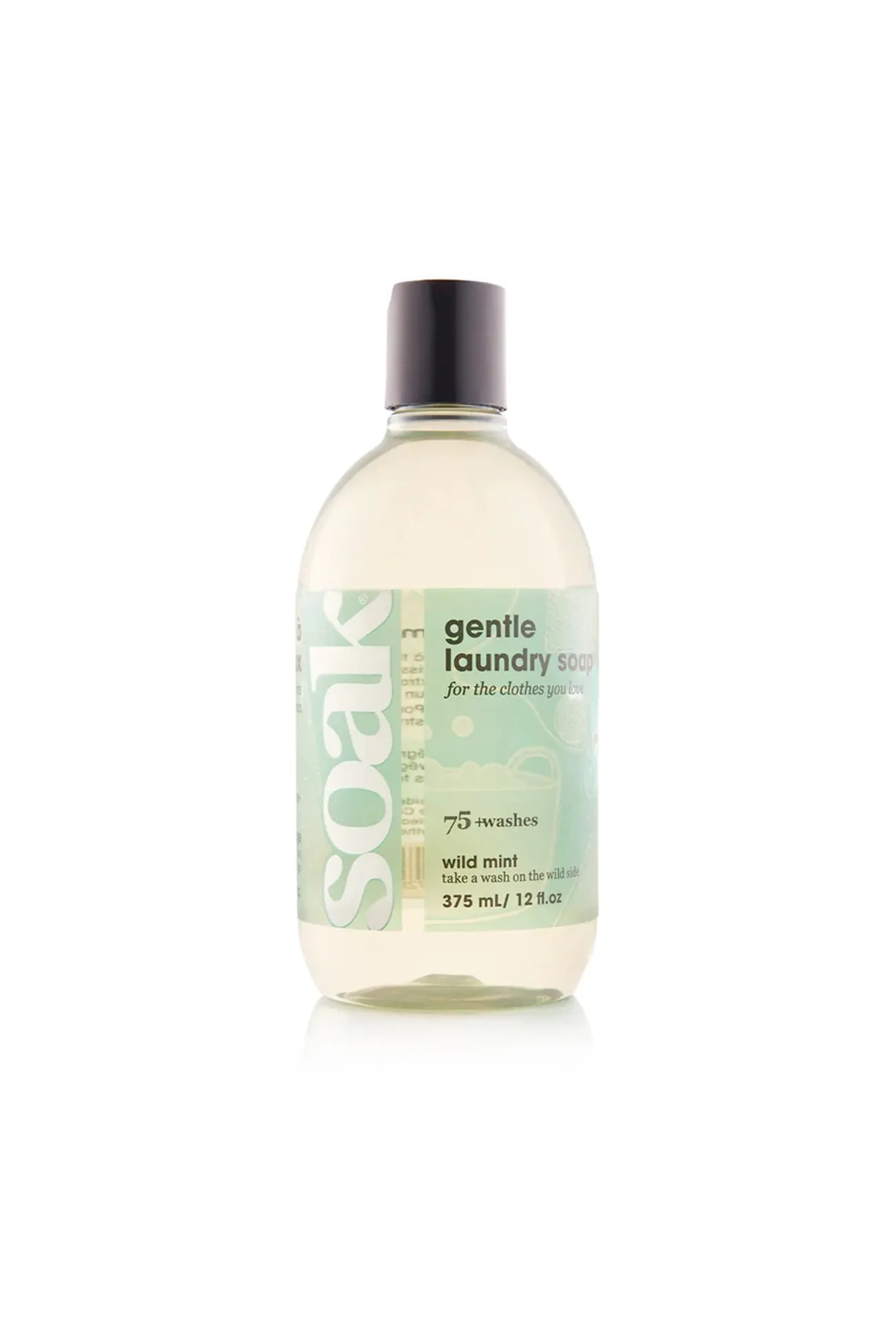 Soak Full Size Bottle 12oz - Wild Mint