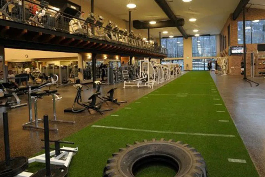 Warrior Workout Turf